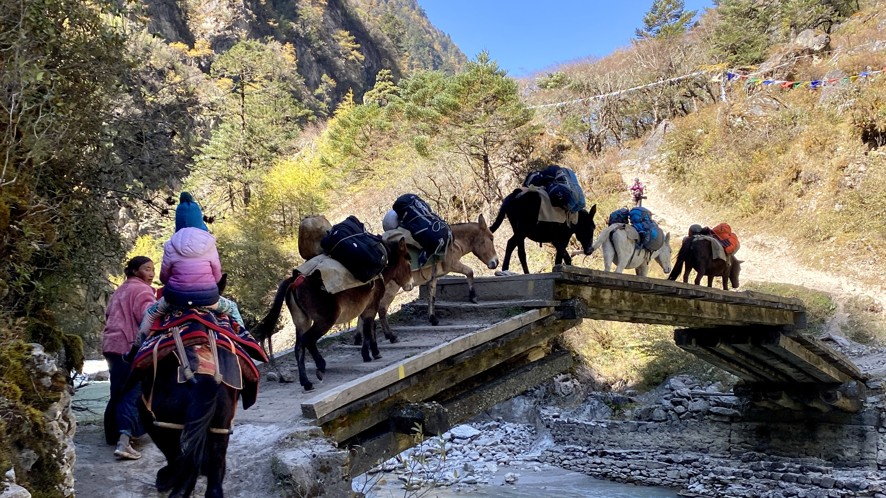 Horse riding adventure in Bhutan Himalayan landscape
